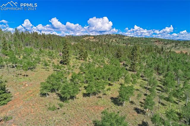 92 Old Squaw Road Como, CO 80432 - Photo 48 of 49 Gallery Image 48