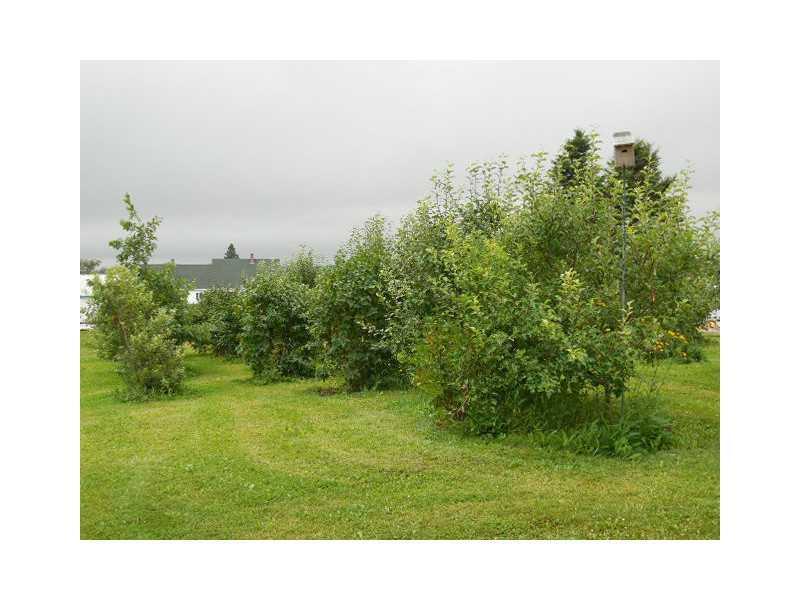 103 East Ridge Road Mars Hill, ME 04758 - Photo 22 of 30 Yard/Garden.