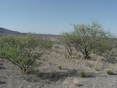 12403 West Arivaca Road, Unit B Amado, AZ 85645 - Photo 4 of 6