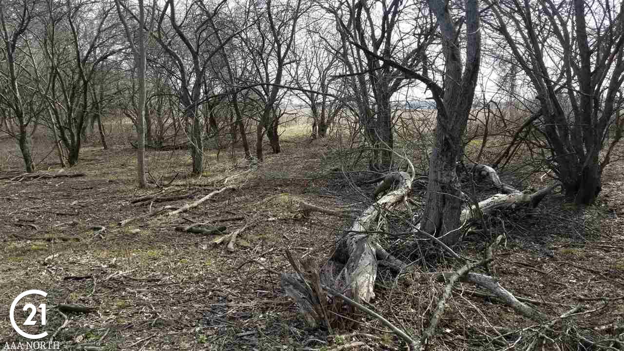 0 Spaulding Road Attica, MI 48412 - Photo 8 of 10