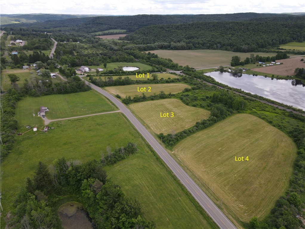 Lot 3 Summit Road Cuba, NY 14727 - Photo 9 of 20