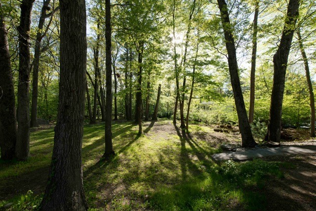 39 Mann School Road Smithfield, RI 02917 - Photo 12 of 18