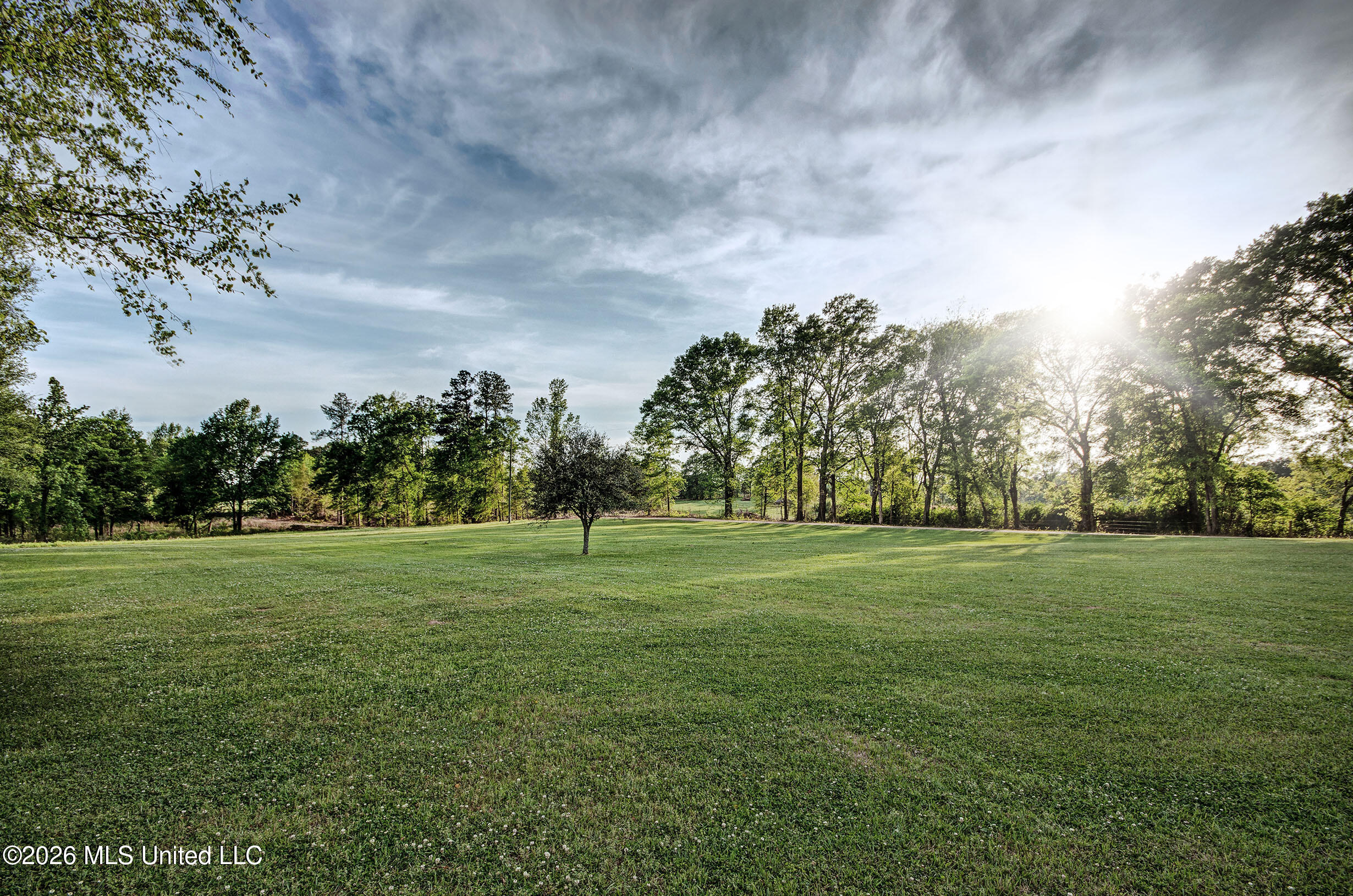 2004 Prospect Cedar Lane Road Union, MS 39365 - Photo 31 of 32 IMGP5682_3_4