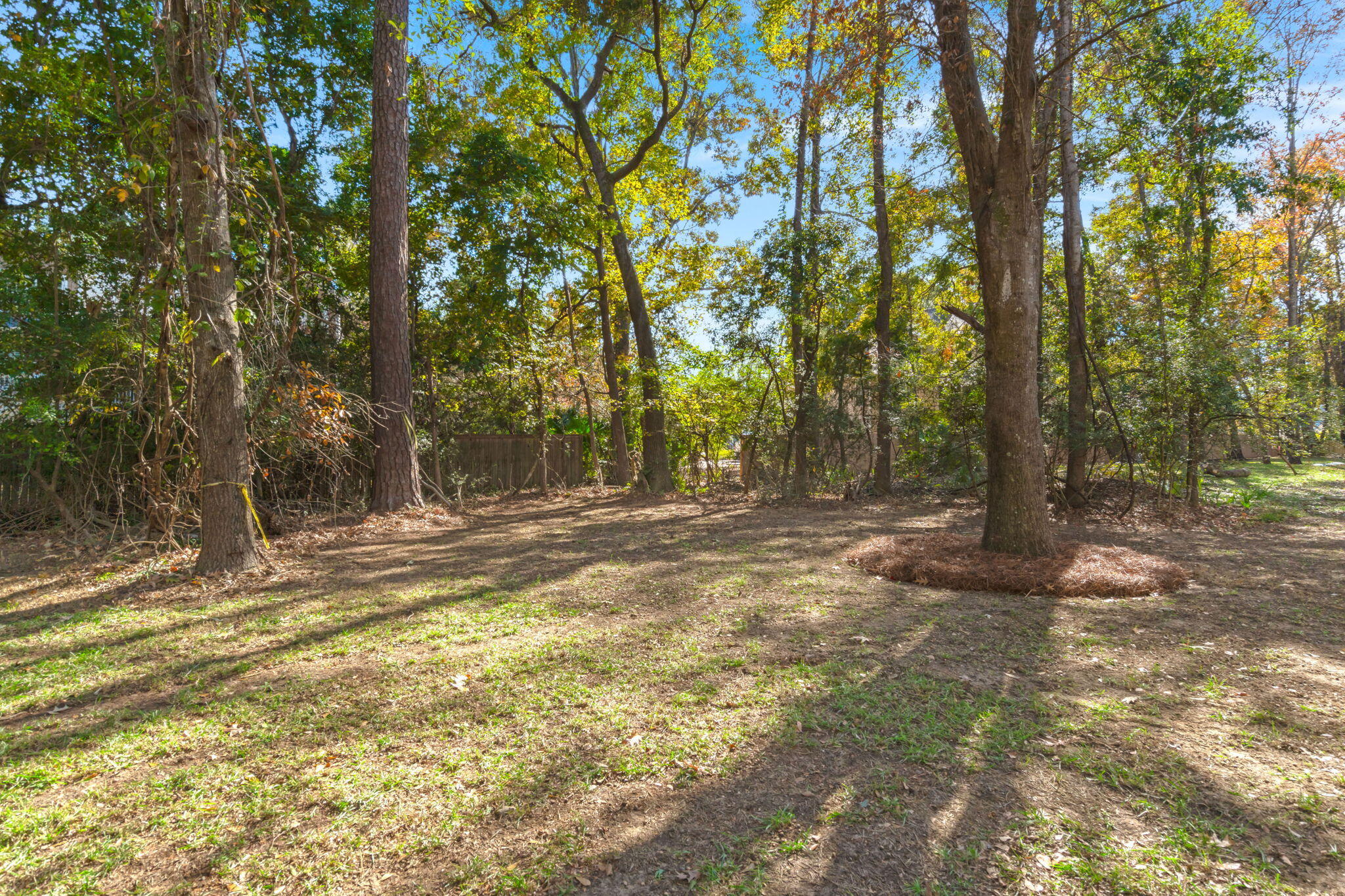 5706 Barbary Coast Road Hollywood, SC 29449 - Photo 50 of 51 48