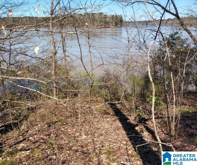 145 Naval Reserve Road, Unit 1 Bessemer, AL 35023 - Photo 1 of 7