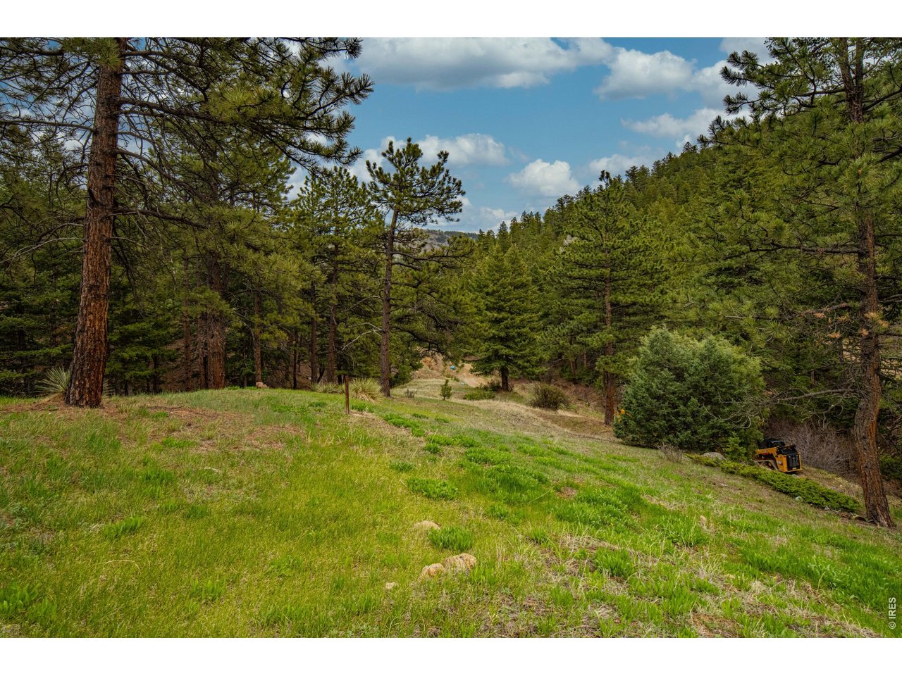310 Wendelyn Way Boulder, CO 80302 - Photo 33 of 40 a view of a yard with an trees