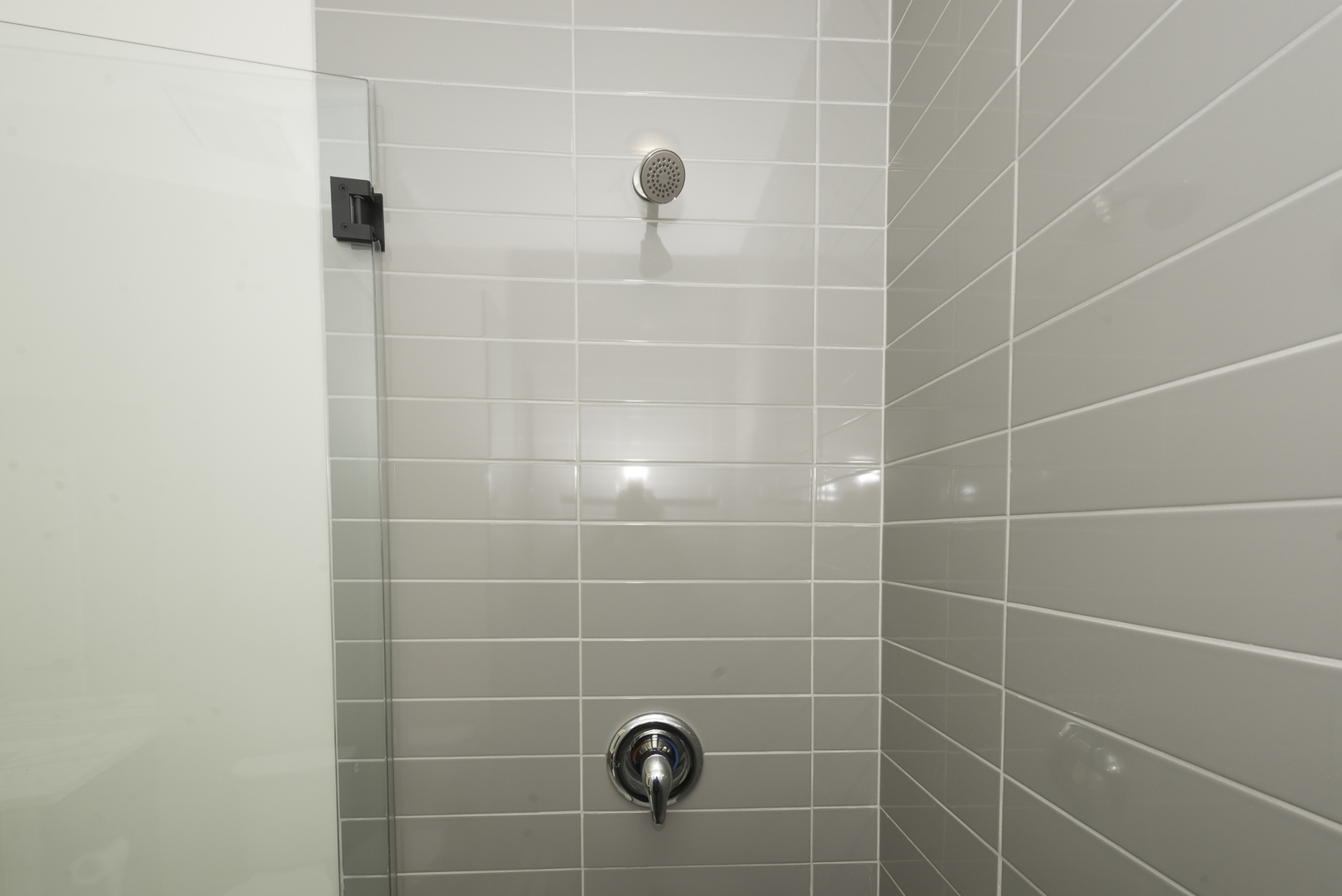 3762 South Indiana Avenue Chicago, IL 60653 - Photo 16 of 27 a bathroom with a shower