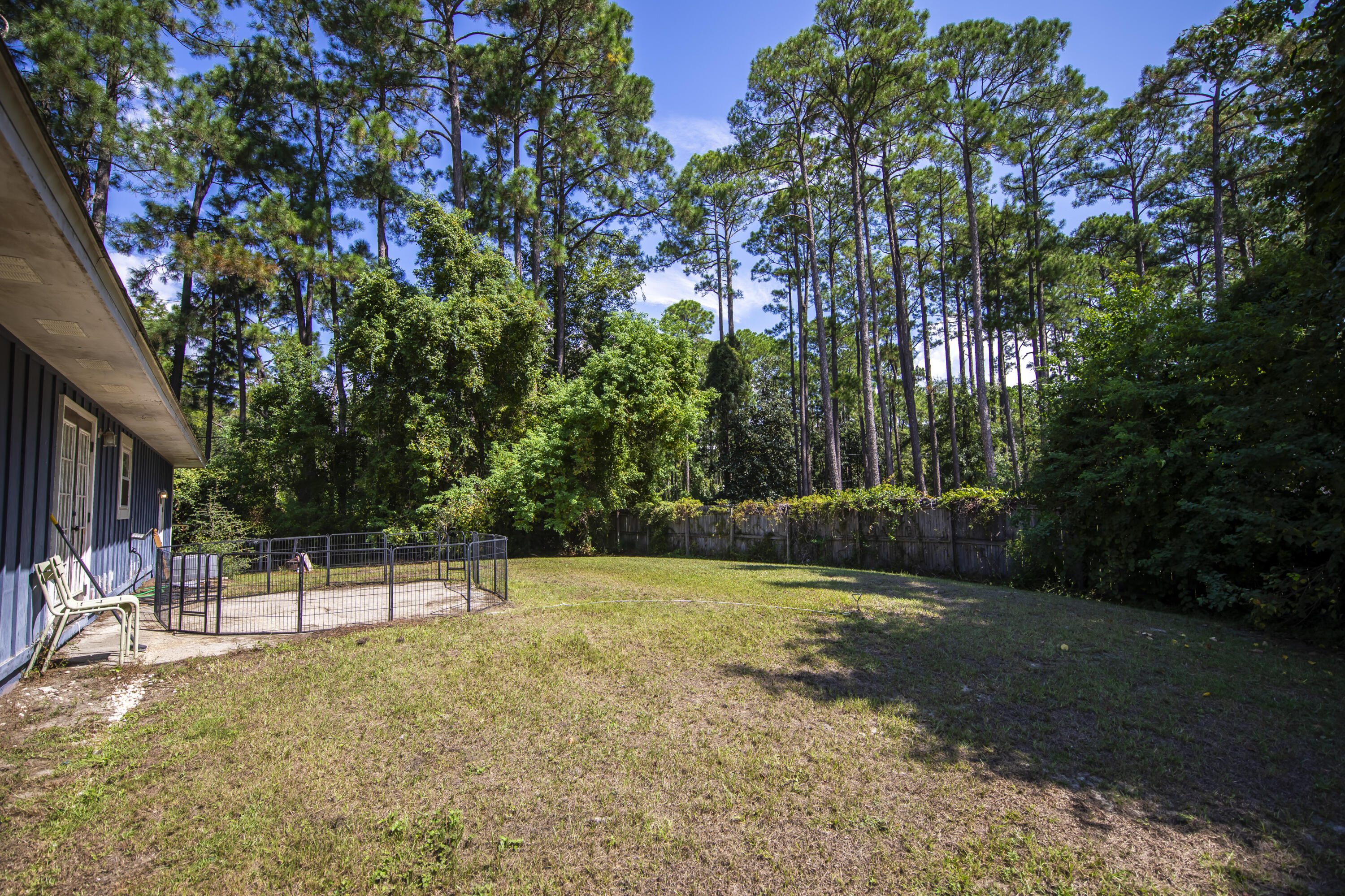 601 Chat Holley Road Santa Rosa Beach, FL 32459 - Photo 22 of 32 a view of a yard with a tree