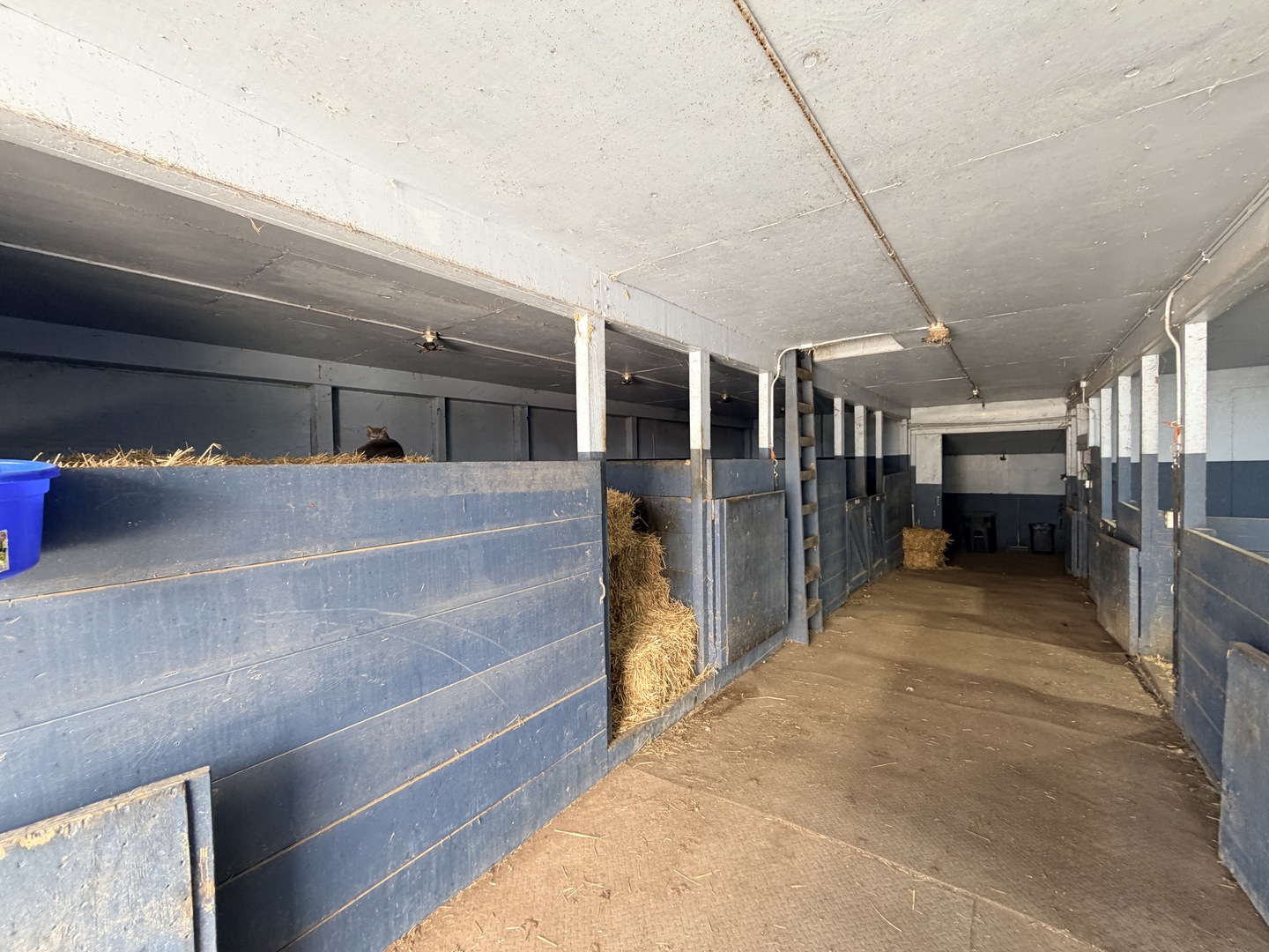 17207 Chase Road DeKalb, IL 60115 - Photo 78 of 79