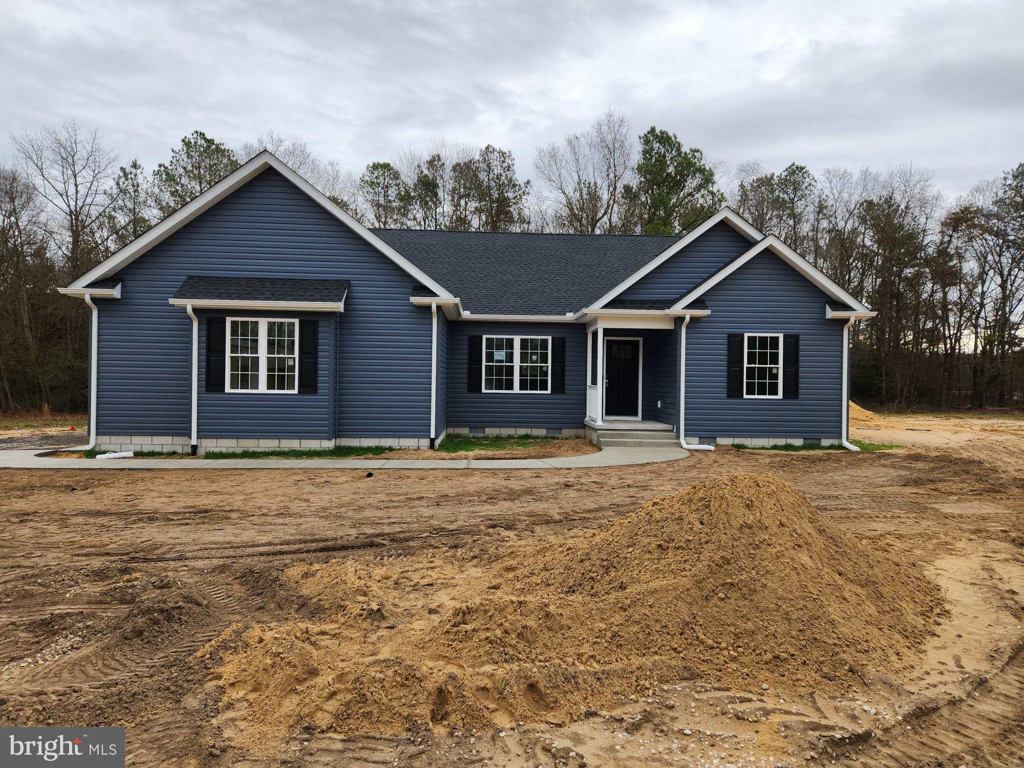 14895 Sand Hill Road Bridgeville, DE 19933 - Photo 1 of 14