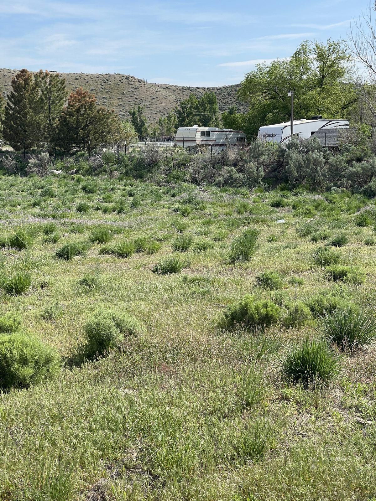 Crow Avenue, Unit 4 Elko, NV 89801 - Photo 1 of 11