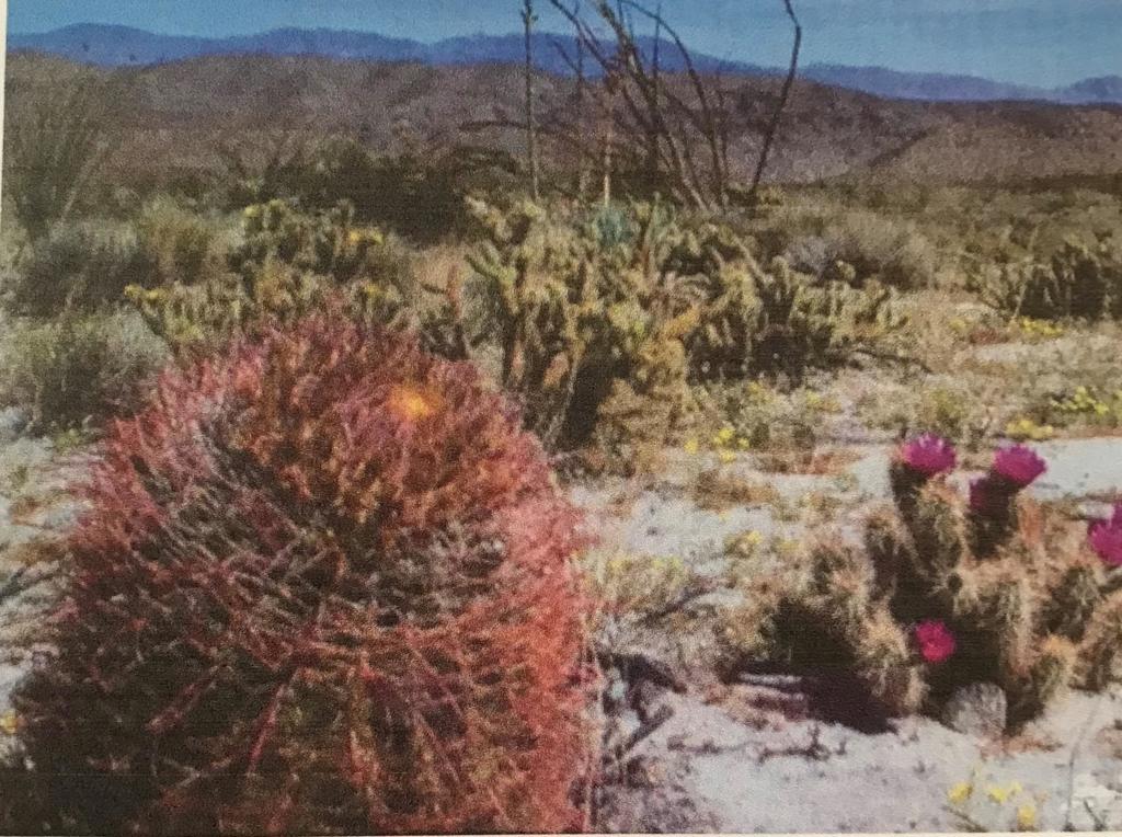 5-ac Old Aqueduct Road Indio, CA 92203 - Photo 7 of 10 a view of a yard