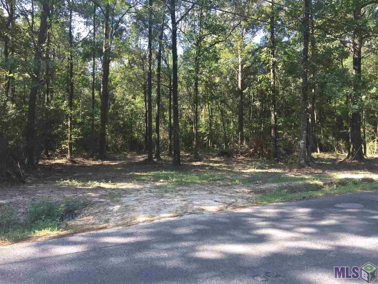 Tract E George White Road Springfield, LA 70462 - Photo 1 of 3