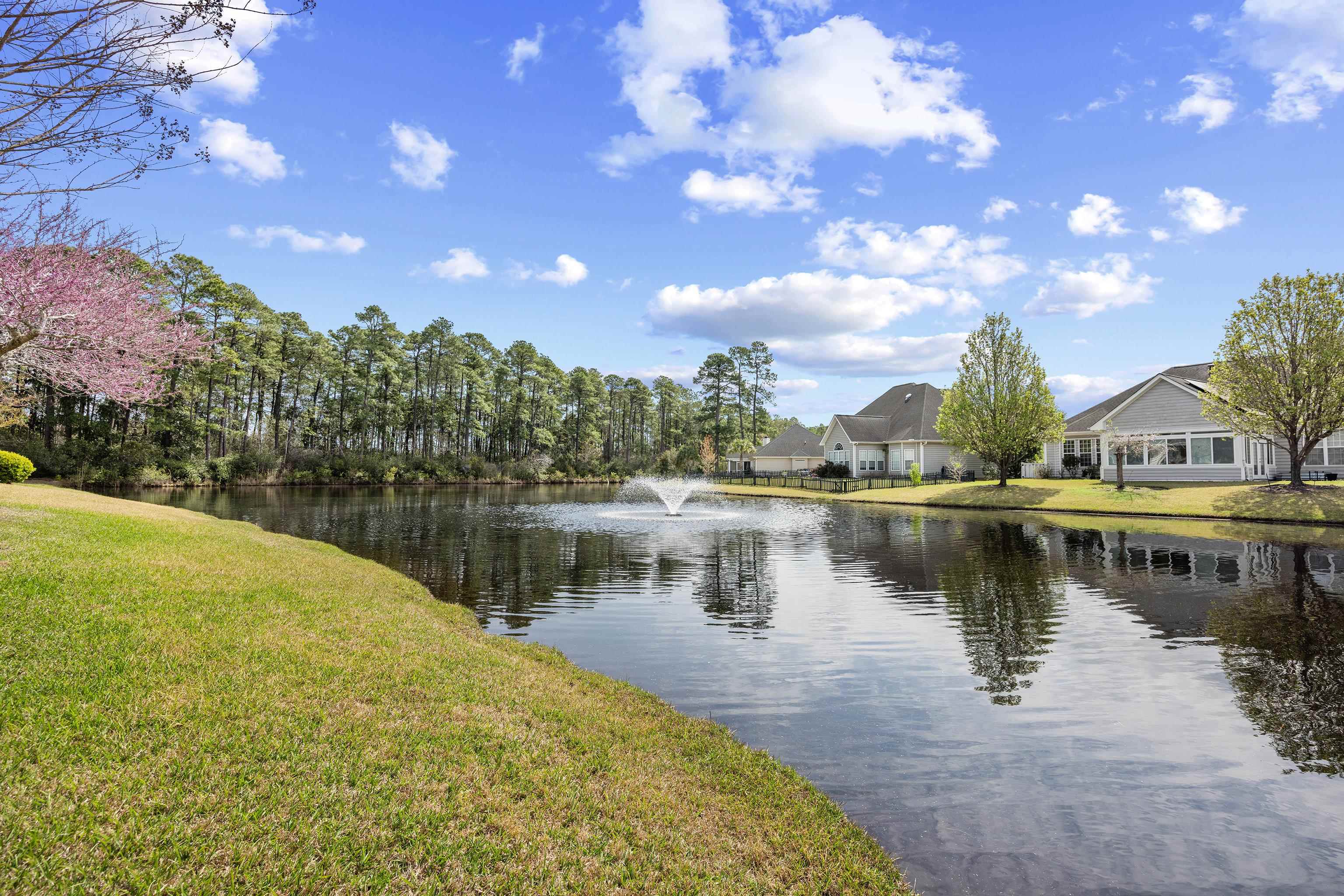 8204 Caddis Court Myrtle Beach, SC 29579 - Photo 37 of 46