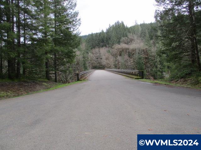 0 Rocky Top Road Sweet Home, OR 97386 - Photo 2 of 14