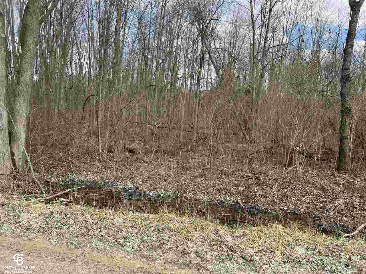 1 Gleason Road Emmett, MI 48022 - Photo 2 of 5