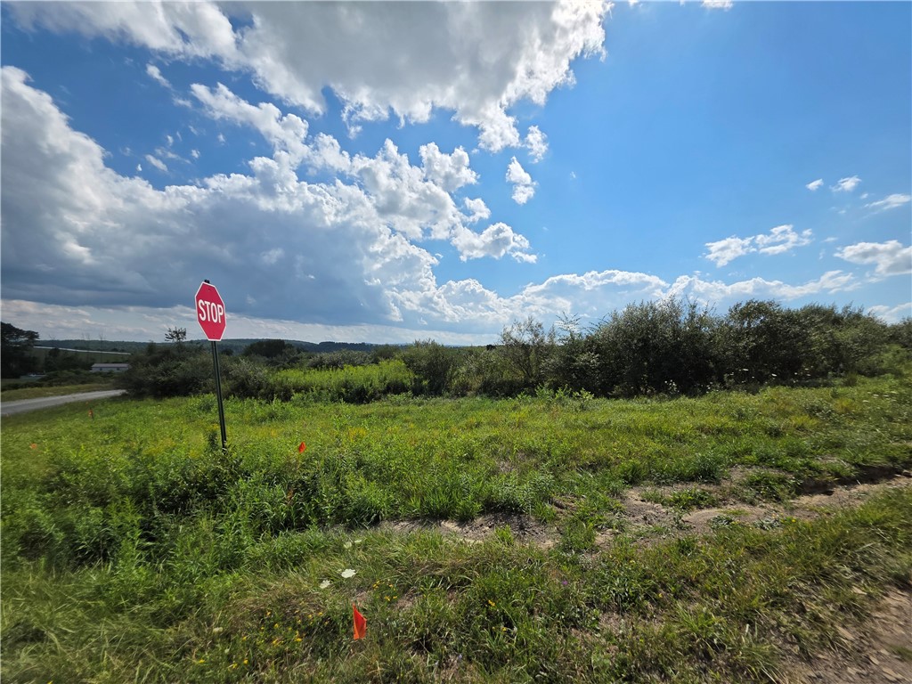 12078 Kelly Hill Road Caton, NY 14871 - Photo 5 of 6