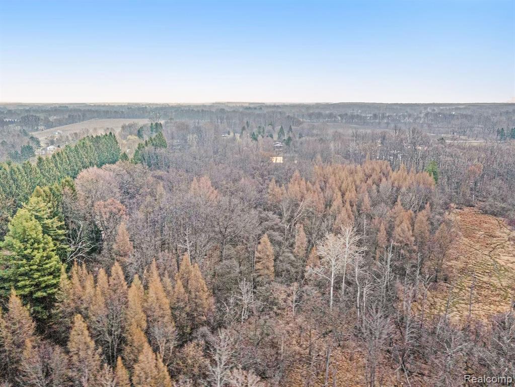 0 McKay Road Romeo, MI 48065 - Photo 19 of 24