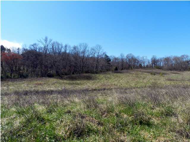 0 Patty Road Ringgold, GA 30736 - Photo 11 of 23 5635 Reeds Bridge Road