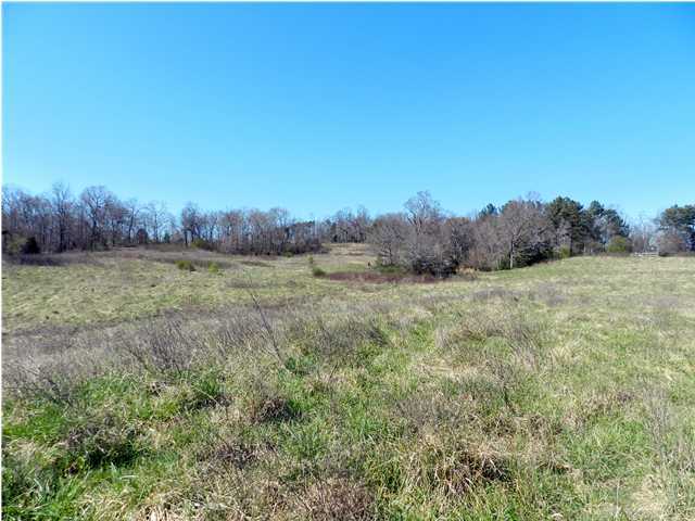 0 Patty Road Ringgold, GA 30736 - Photo 15 of 23 Additional Photo