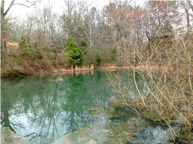 0 Patty Road Ringgold, GA 30736 - Photo 21 of 23 5635 Reeds Bridge Road