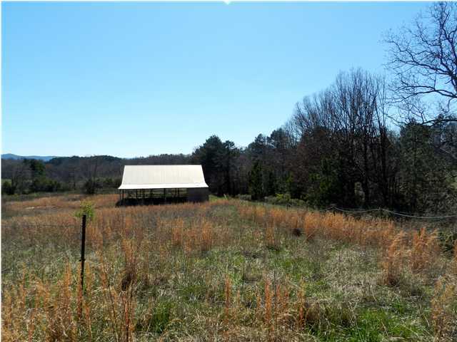 0 Patty Road Ringgold, GA 30736 - Photo 3 of 23 5635 Reeds Bridge Road