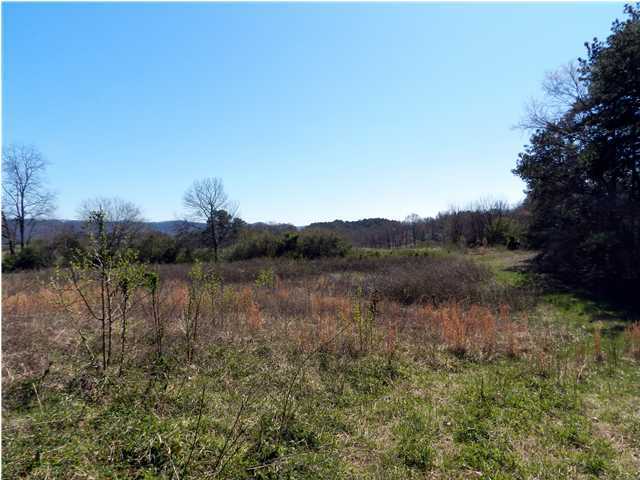 0 Patty Road Ringgold, GA 30736 - Photo 4 of 23 5635 Reeds Bridge Road