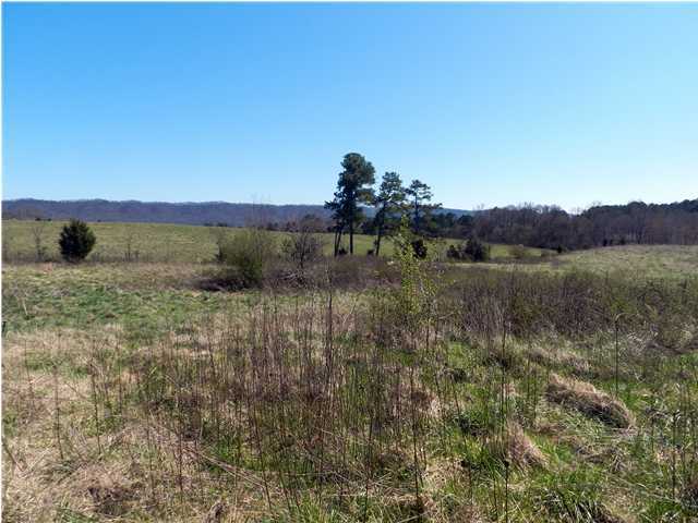 0 Patty Road Ringgold, GA 30736 - Photo 5 of 23 Additional Photo