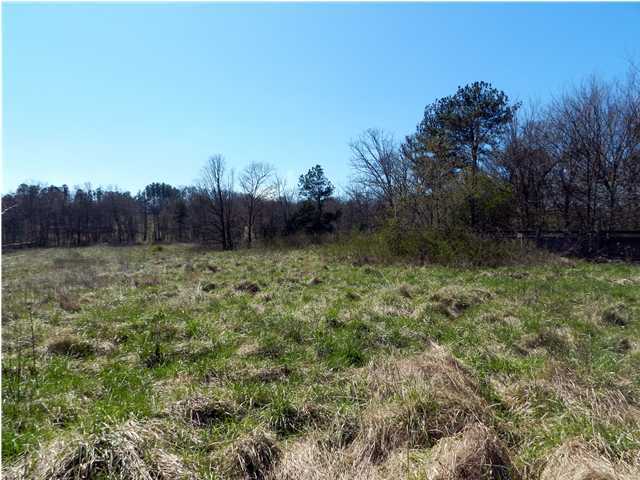 0 Patty Road Ringgold, GA 30736 - Photo 10 of 23 5635 Reeds Bridge Road
