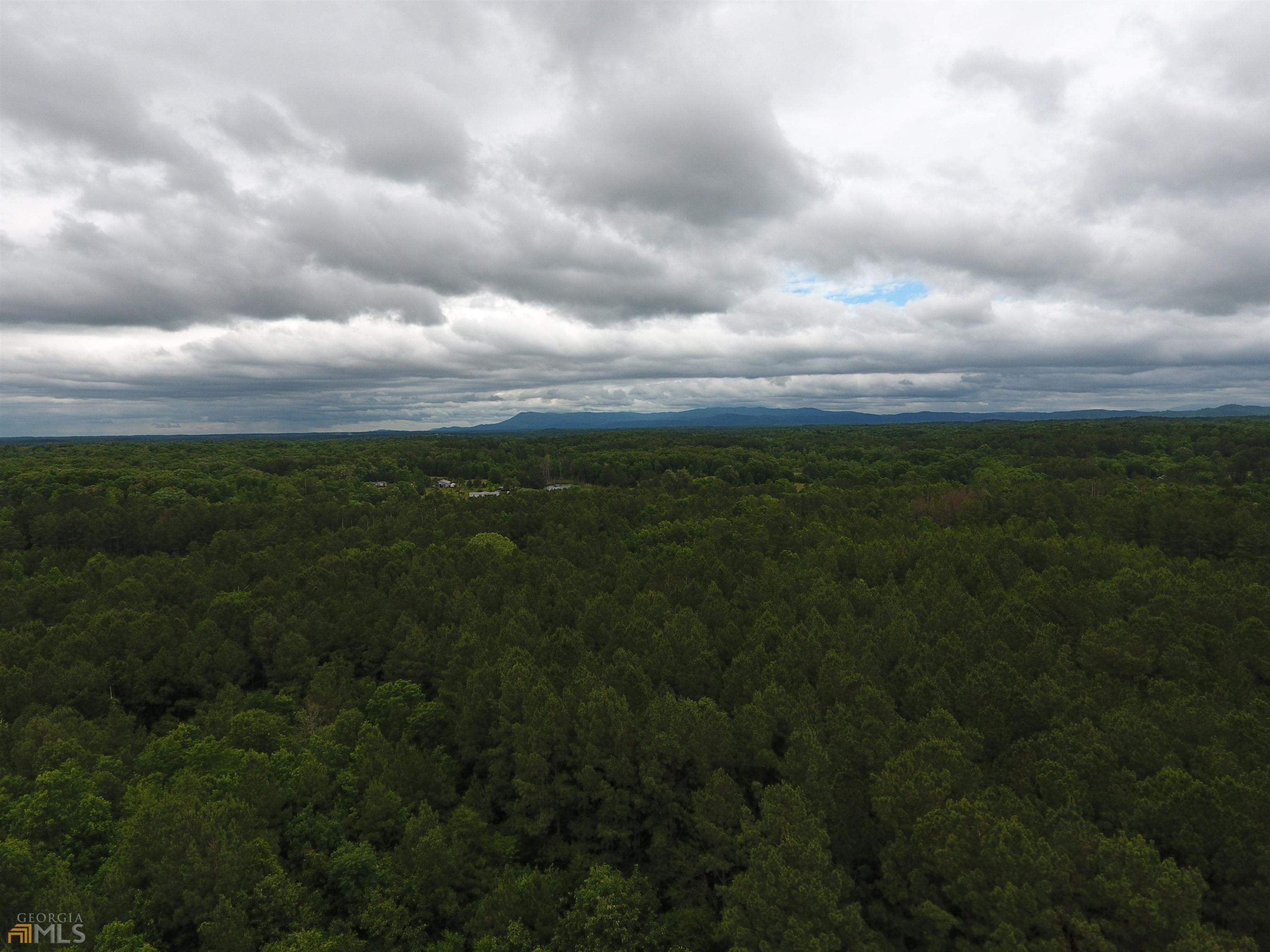 0 Lick Creek Road Northeast, Unit 9624C Ranger, GA 30734 - Photo 11 of 19 a view of a big yard with lots of green space