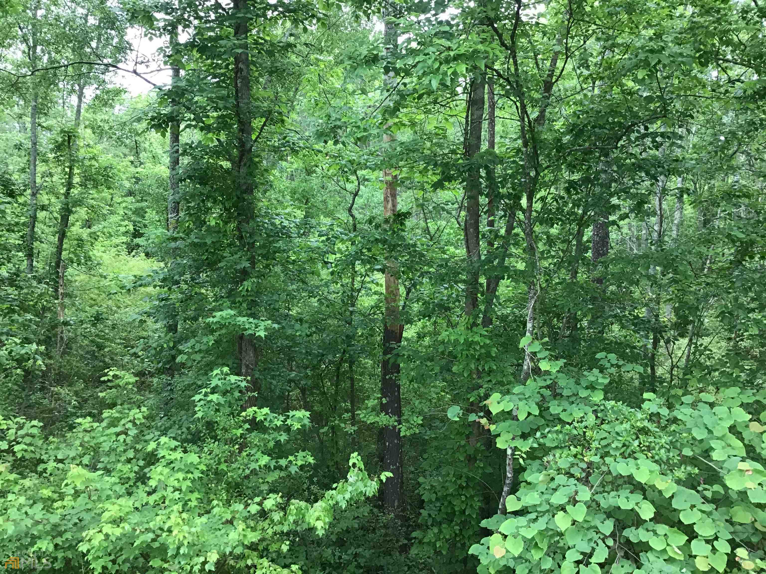 0 Lick Creek Road Northeast, Unit 9624C Ranger, GA 30734 - Photo 15 of 19