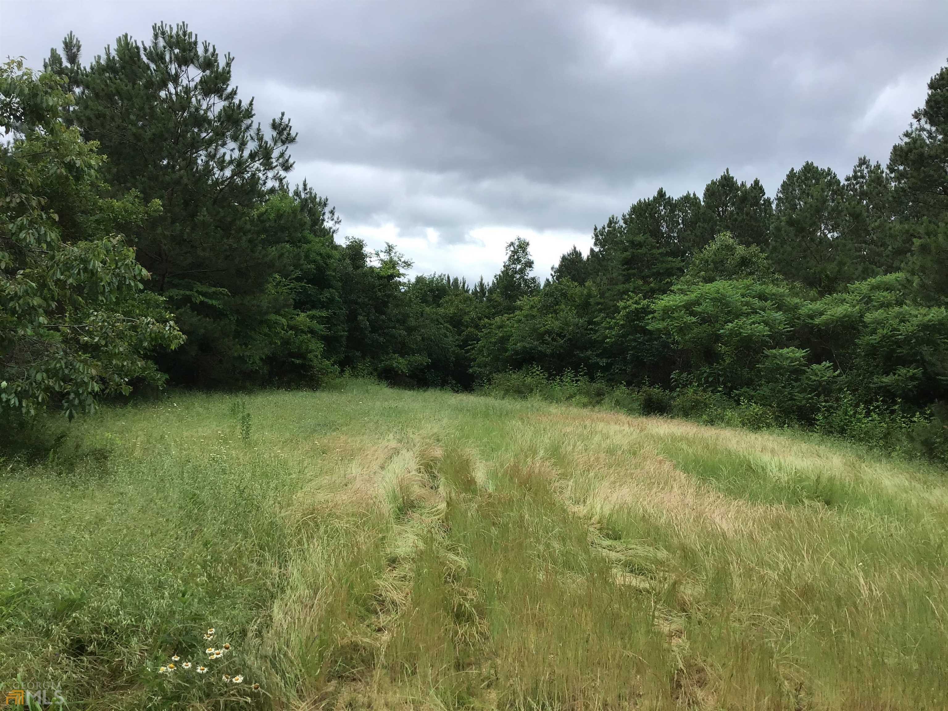 0 Lick Creek Road Northeast, Unit 9624C Ranger, GA 30734 - Photo 17 of 19 a view of outdoor space and yard