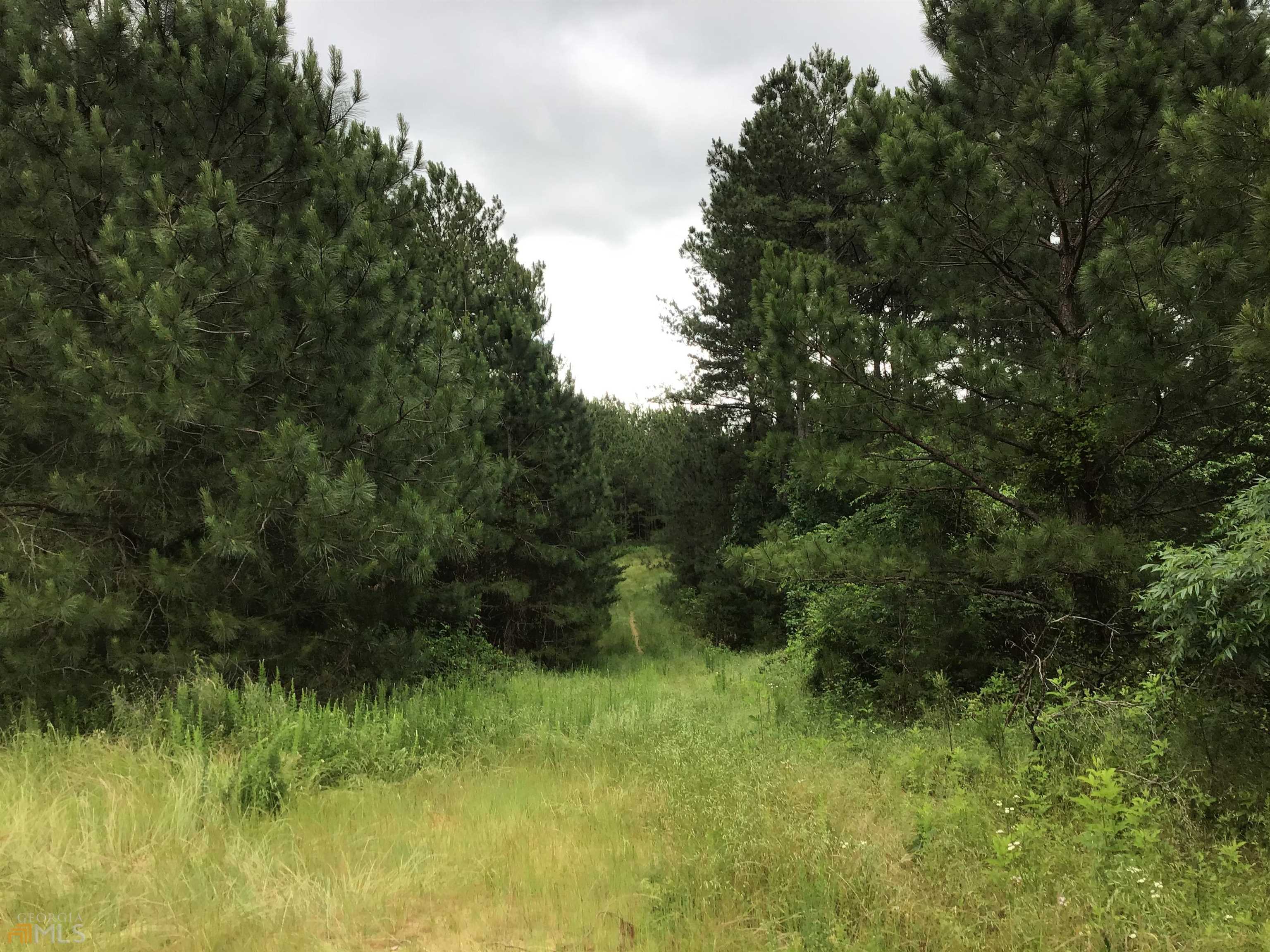 0 Lick Creek Road Northeast, Unit 9624C Ranger, GA 30734 - Photo 18 of 19 a view of a lush green space
