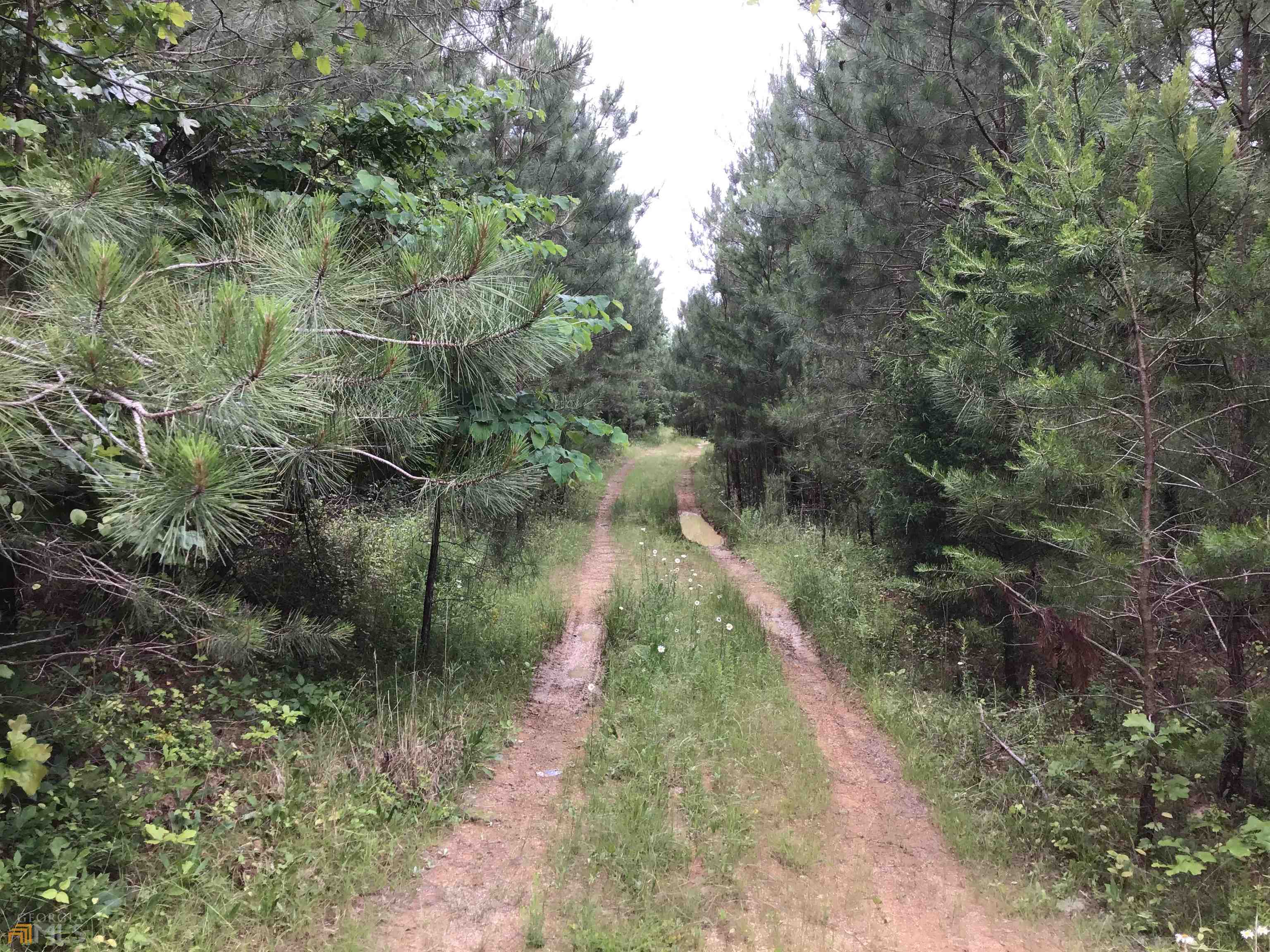 0 Lick Creek Road Northeast, Unit 9624C Ranger, GA 30734 - Photo 19 of 19 a backyard of a house with a yard and outdoor seating