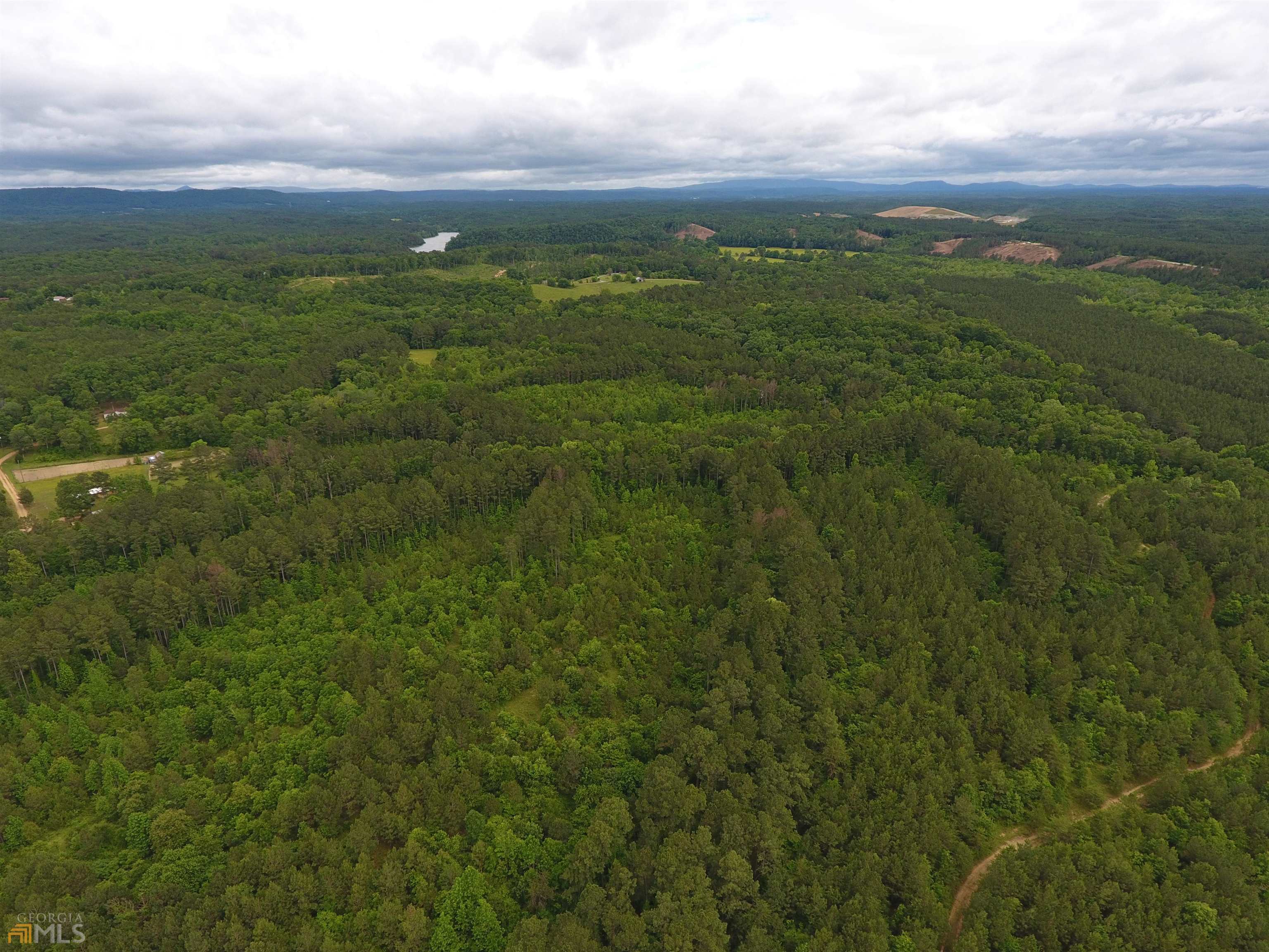 0 Lick Creek Road Northeast, Unit 9624C Ranger, GA 30734 - Photo 6 of 19 a view of a city with lush green forest