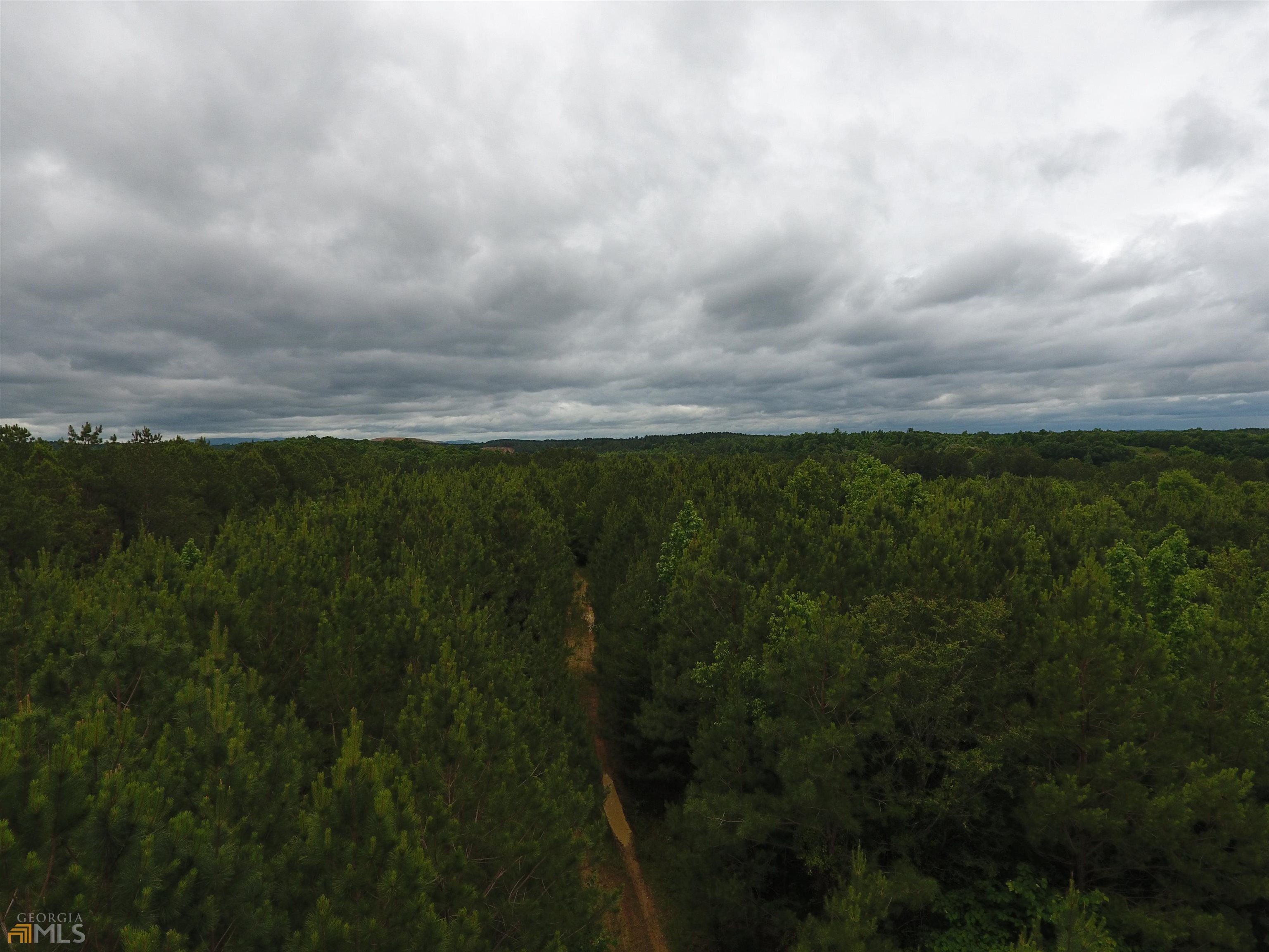 0 Lick Creek Road Northeast, Unit 9624C Ranger, GA 30734 - Photo 10 of 19