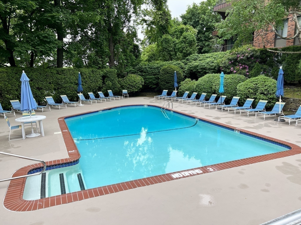 1002 Paradise Road, Unit 1M Swampscott, MA 01907 - Photo 24 of 25 a view of a swimming pool with lounge chair and trees in the background