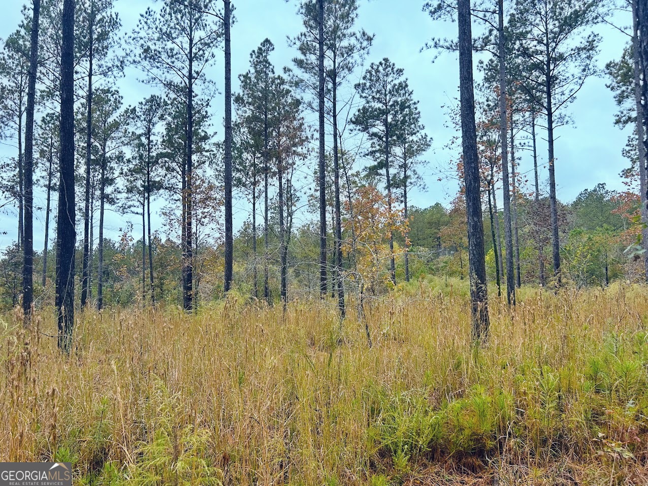 592 Andrew Caldwell Road, Unit TRACT 2A Lexington, GA 30648 - Photo 11 of 79