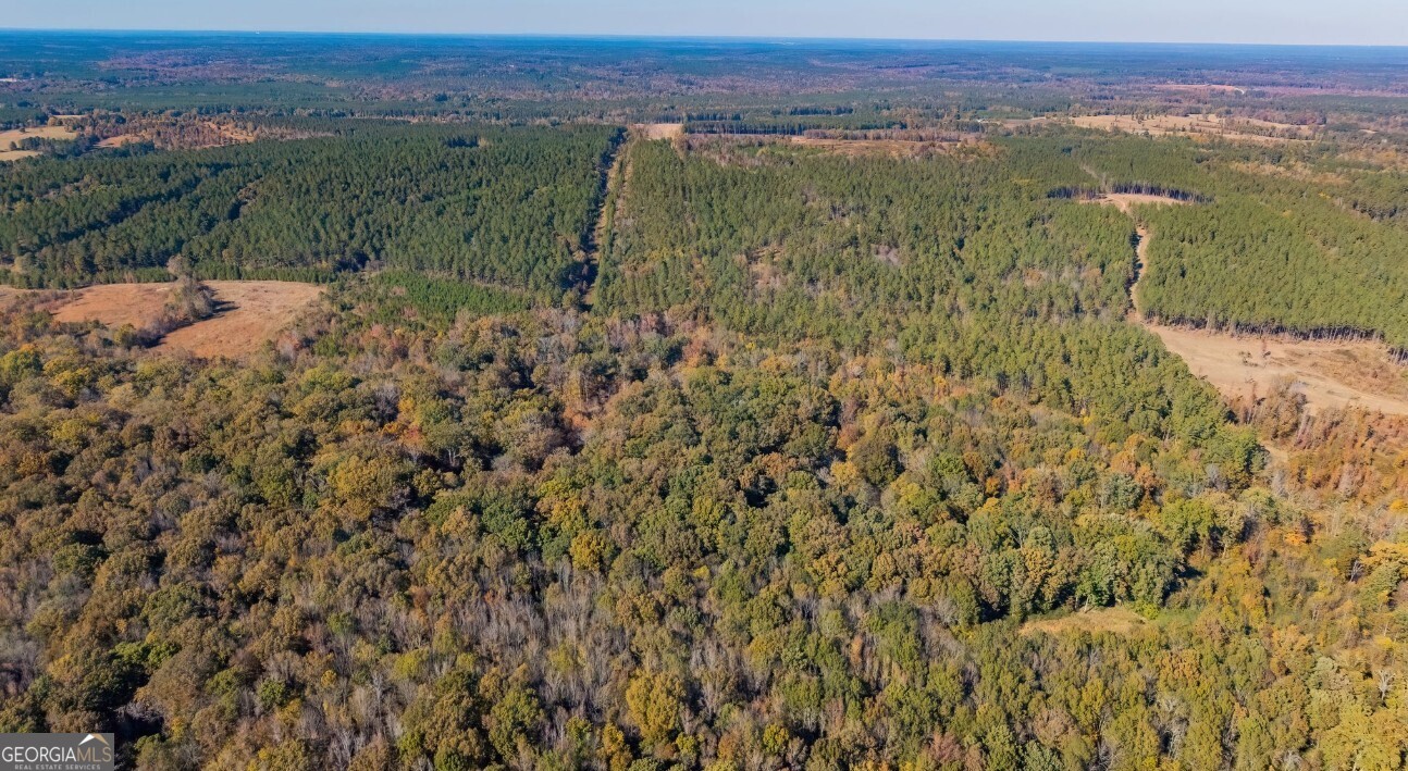 592 Andrew Caldwell Road, Unit TRACT 2A Lexington, GA 30648 - Photo 12 of 79 an aerial view of mountain with trees around