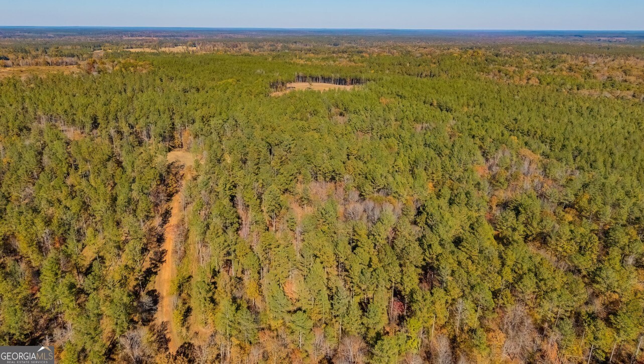 592 Andrew Caldwell Road, Unit TRACT 2A Lexington, GA 30648 - Photo 13 of 79 a view of an ocean