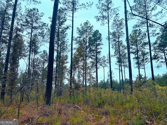 a view of a city with lush green forest