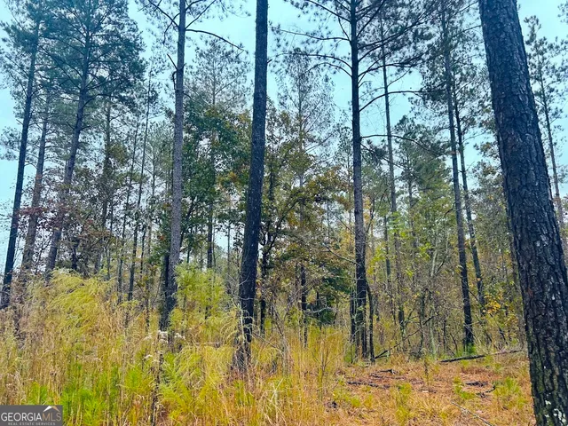 a view of backyard with green space