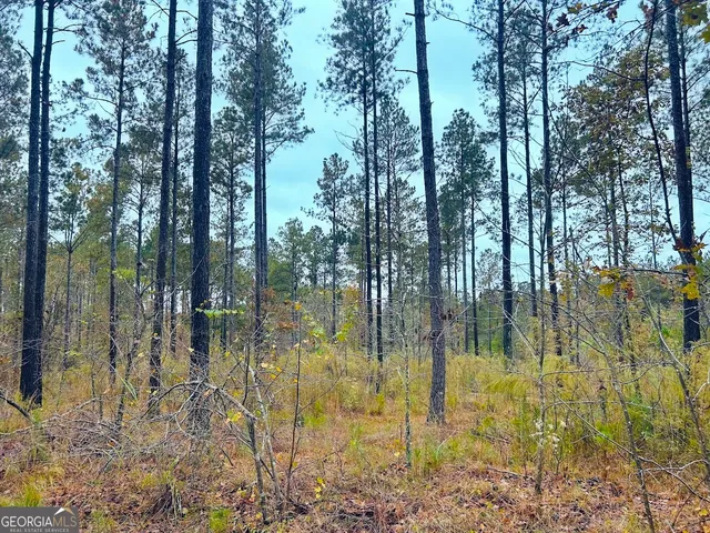 a view of a yard with a trees