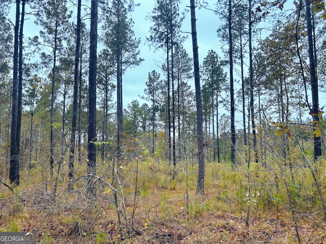 592 Andrew Caldwell Road, Unit TRACT 2A Lexington, GA 30648 - Photo 17 of 79