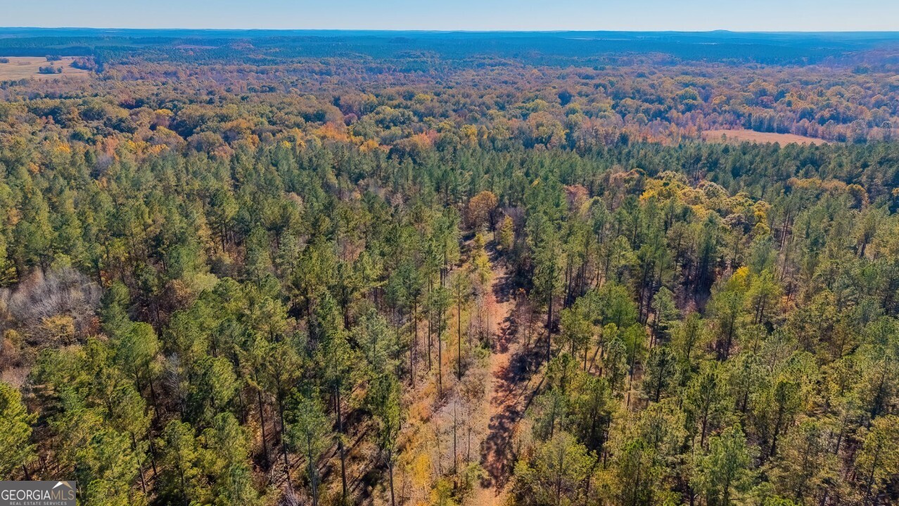592 Andrew Caldwell Road, Unit TRACT 2A Lexington, GA 30648 - Photo 18 of 79 a view of a city with lush green forest