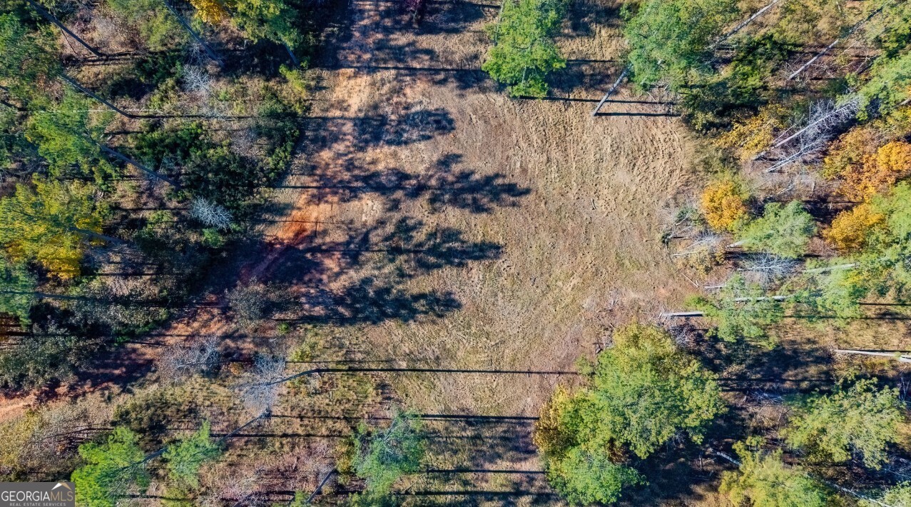 592 Andrew Caldwell Road, Unit TRACT 2A Lexington, GA 30648 - Photo 19 of 79
