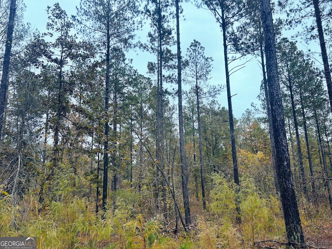 592 Andrew Caldwell Road, Unit TRACT 2A Lexington, GA 30648 - Photo 20 of 79
