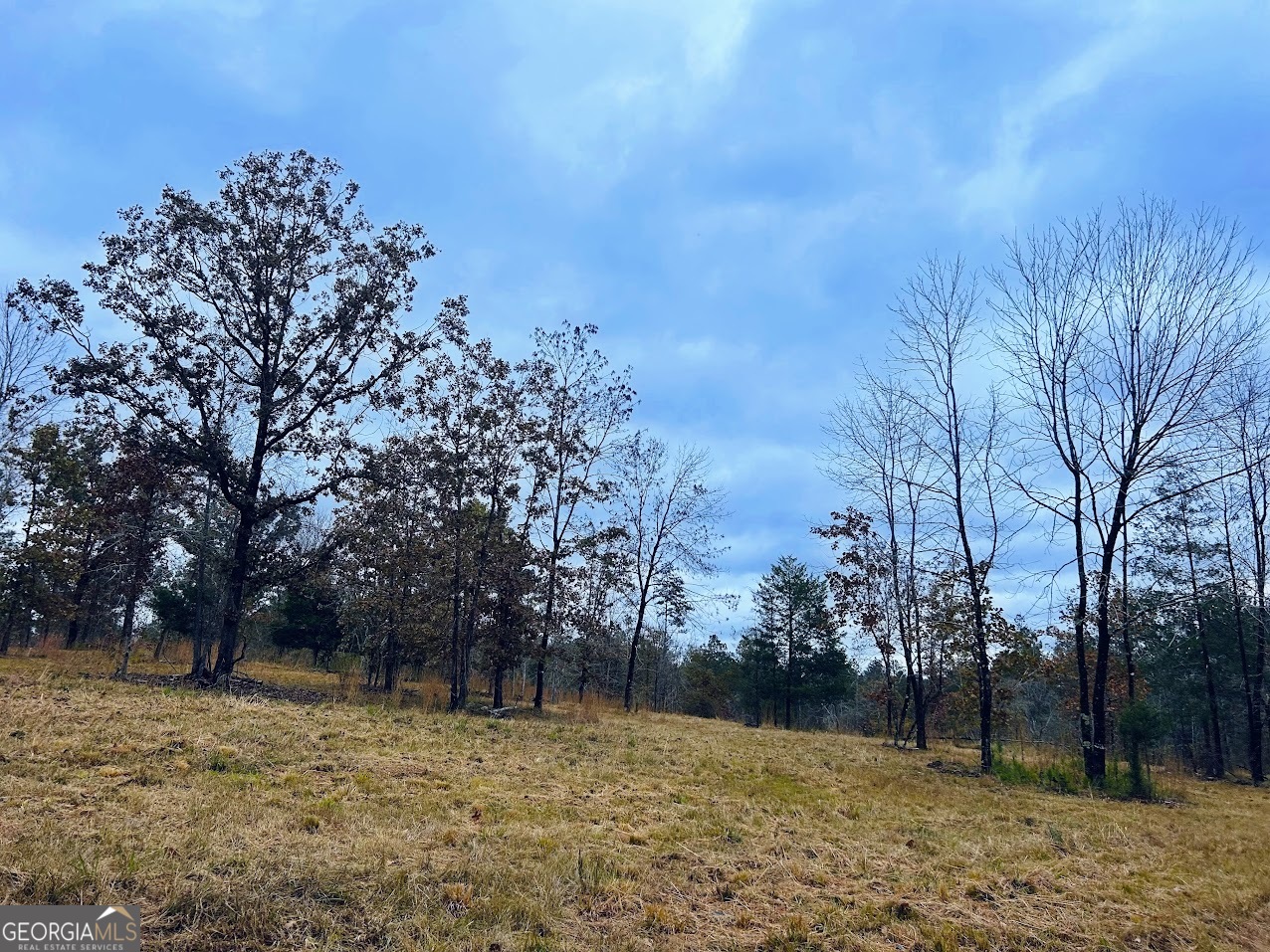 592 Andrew Caldwell Road, Unit TRACT 2A Lexington, GA 30648 - Photo 21 of 79 a view of backyard with green space