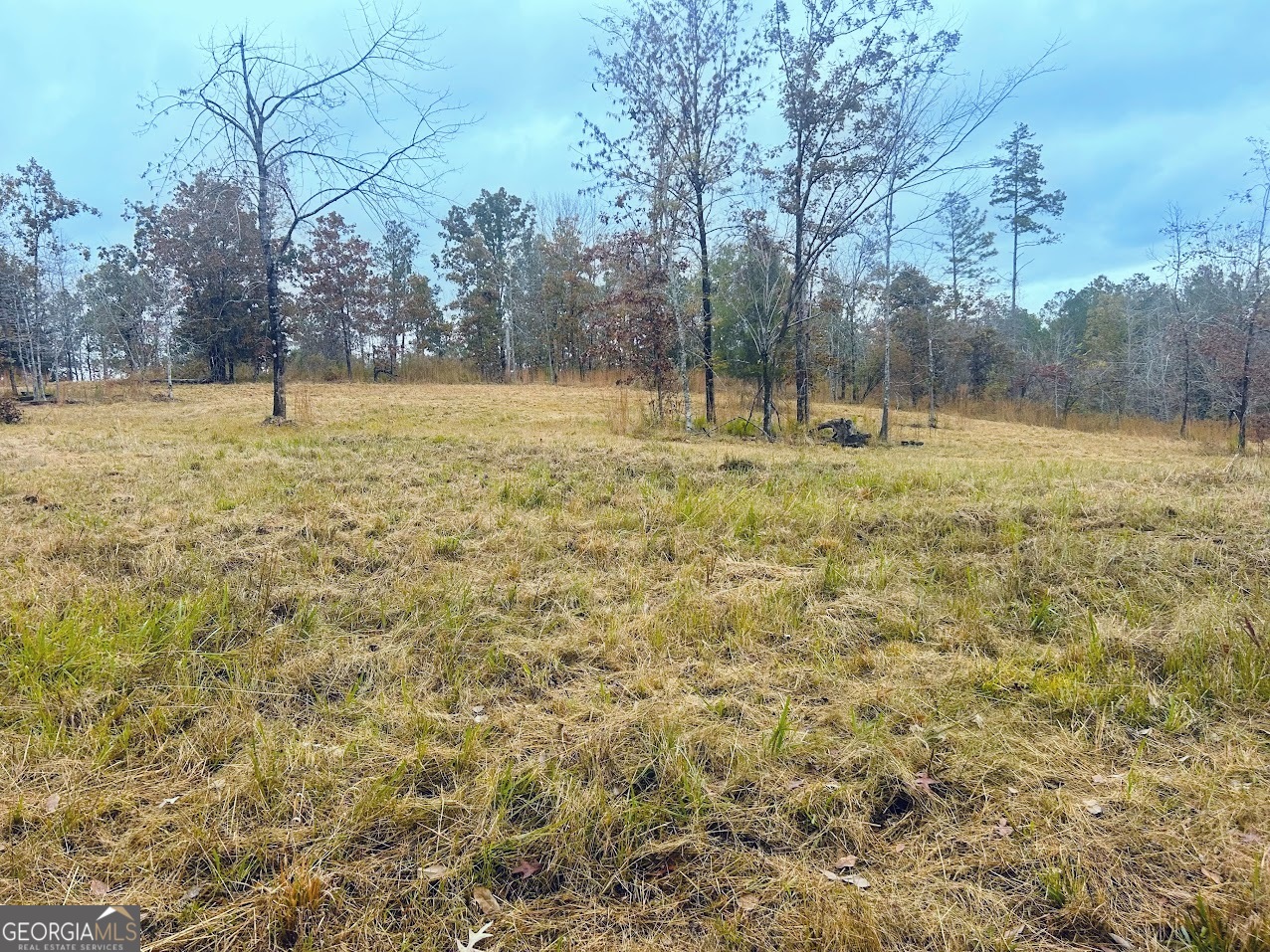 592 Andrew Caldwell Road, Unit TRACT 2A Lexington, GA 30648 - Photo 22 of 79 a view of a yard with a trees