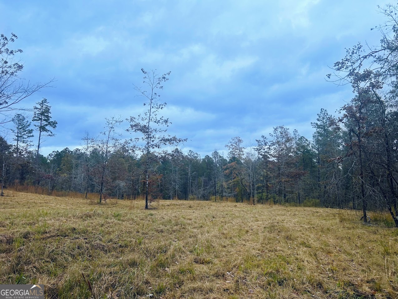 592 Andrew Caldwell Road, Unit TRACT 2A Lexington, GA 30648 - Photo 23 of 79 a view of a backyard